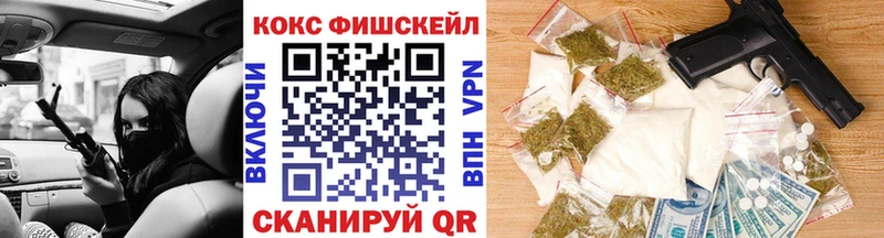 Cocaine Fish Scale  Купить закладки  Новопавловск 